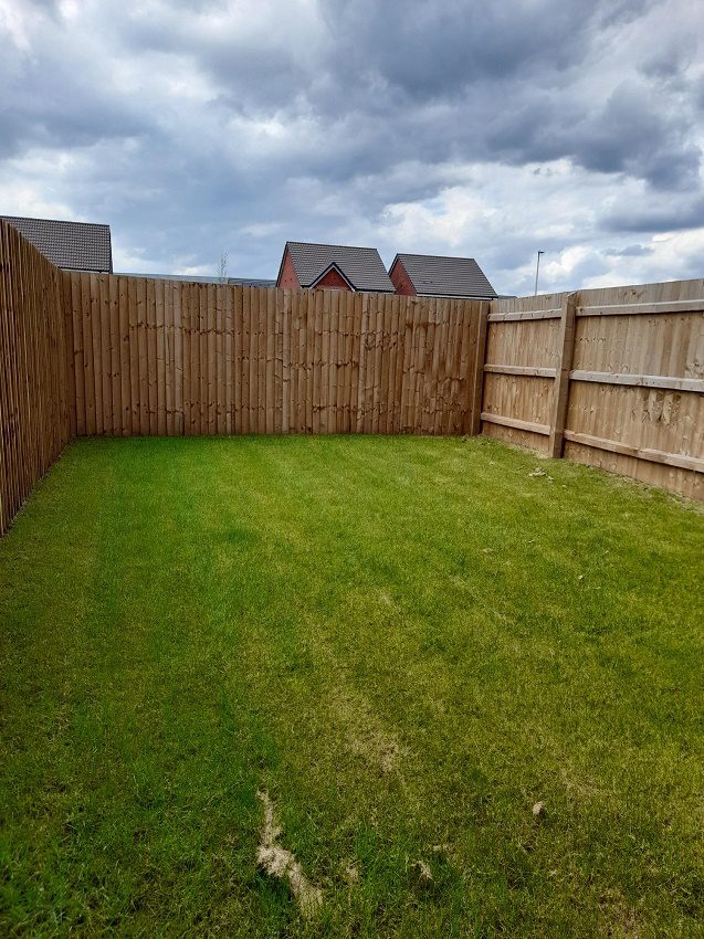 P509 Yew Tree Garden