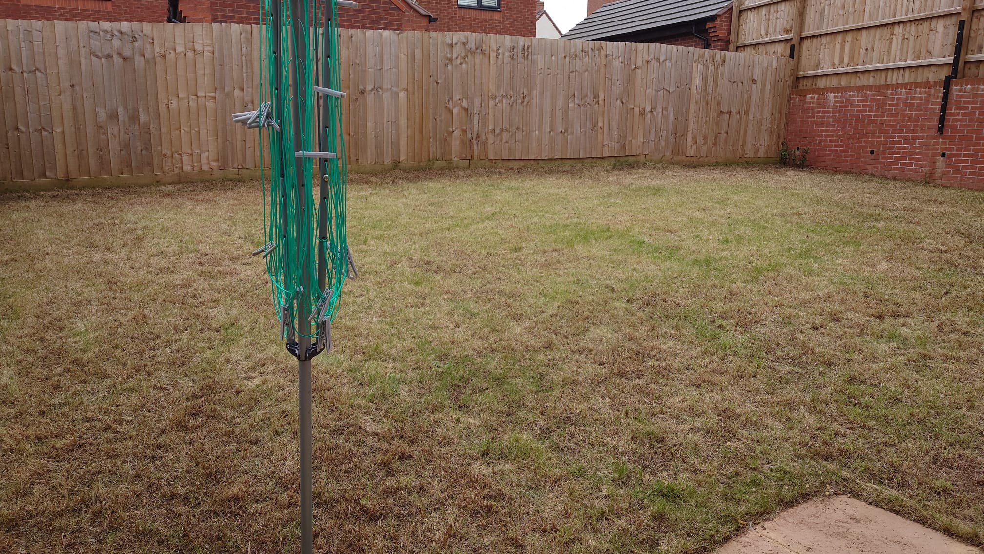 Garden 2